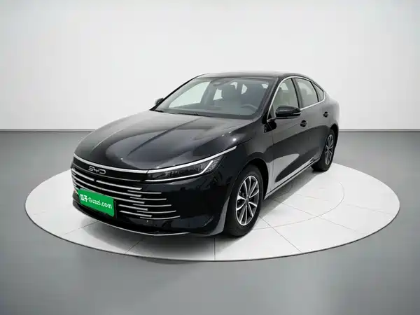 BYD Destroyer 05 2024