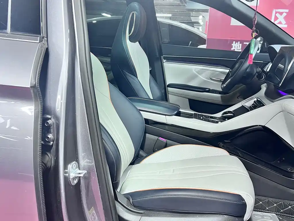 BYD PLUS New Energy 2022 — фото 13