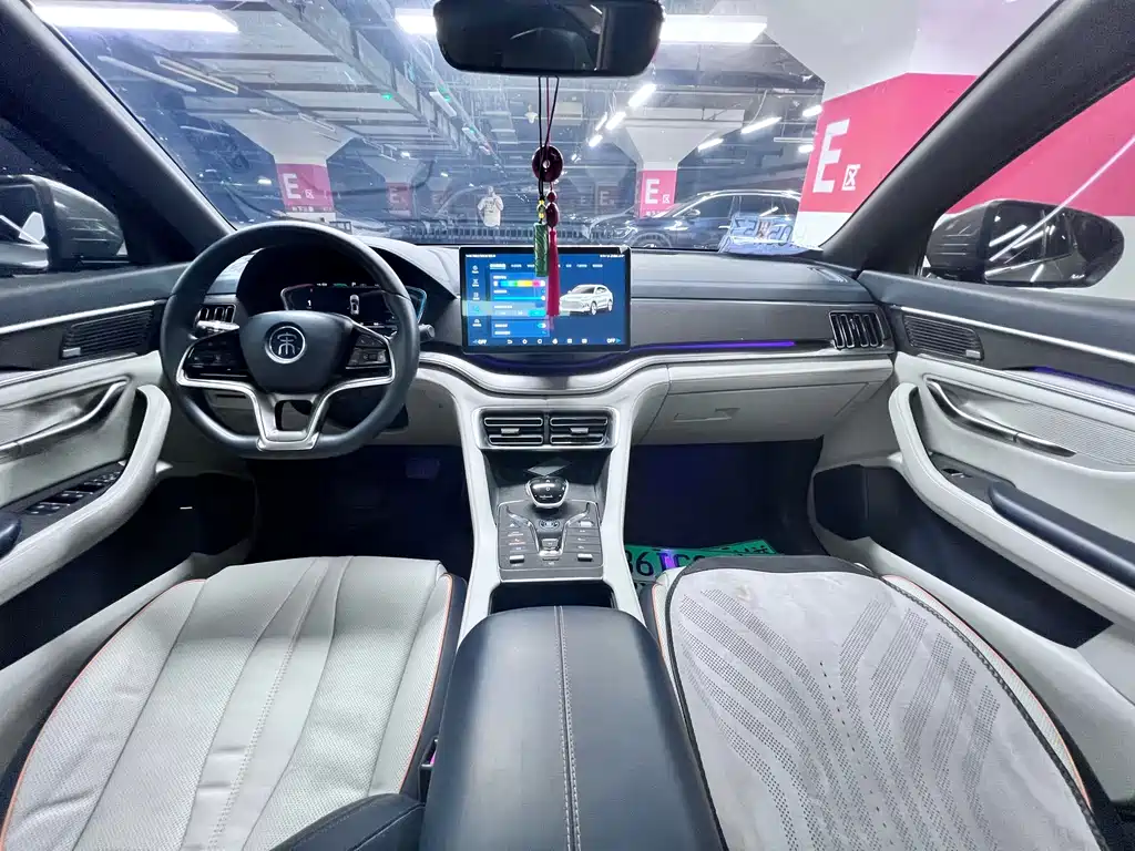 BYD PLUS New Energy 2022 — фото 12