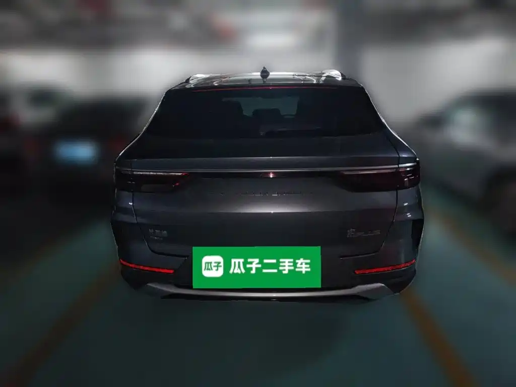 BYD PLUS New Energy 2021 — фото 4
