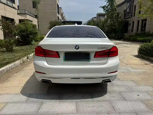 BMW 5 Series New Energy 2019