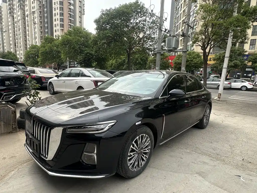 Hongqi H5 2024 — фото 1