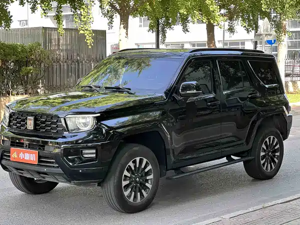 Tank 700 New Energy 2024