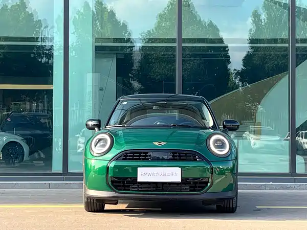 MINI MINI 2025