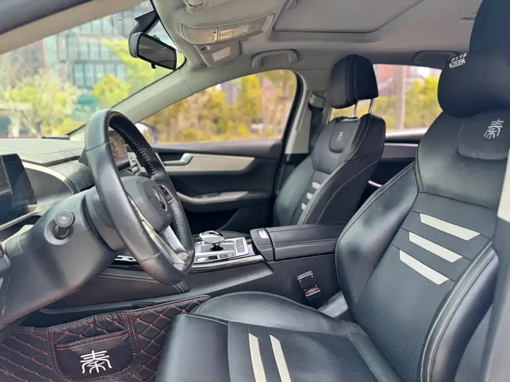 BYD Qin Pro NEV 2020 — фото 11