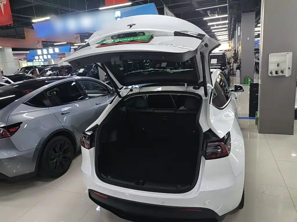 Tesla Model Y 2023 — фото 19