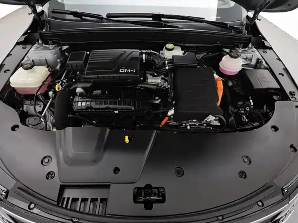 BYD Destroyer 05 2022