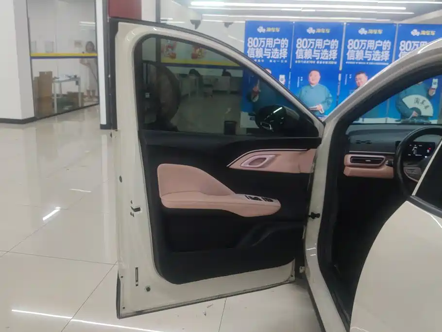 BYD Seagull 2025