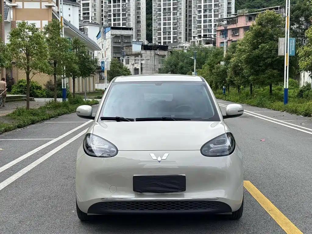 Wuling Bingo 2025