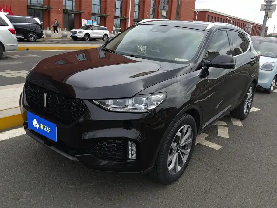 Wey VV6 2019