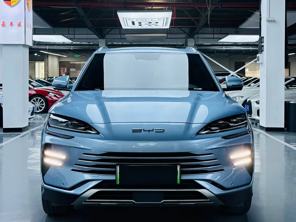 BYD PLUS New Energy 2024 — фото 2