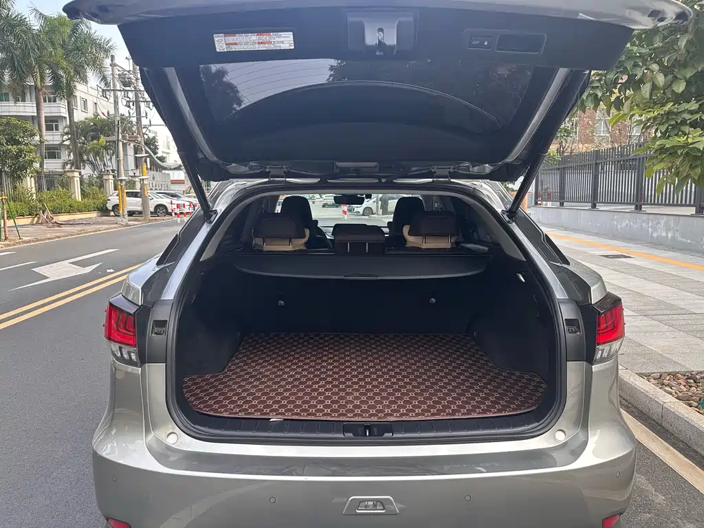 Lexus RX 2020 — фото 9