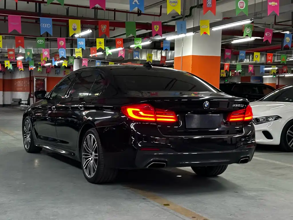BMW 5 Series 2018 — фото 13