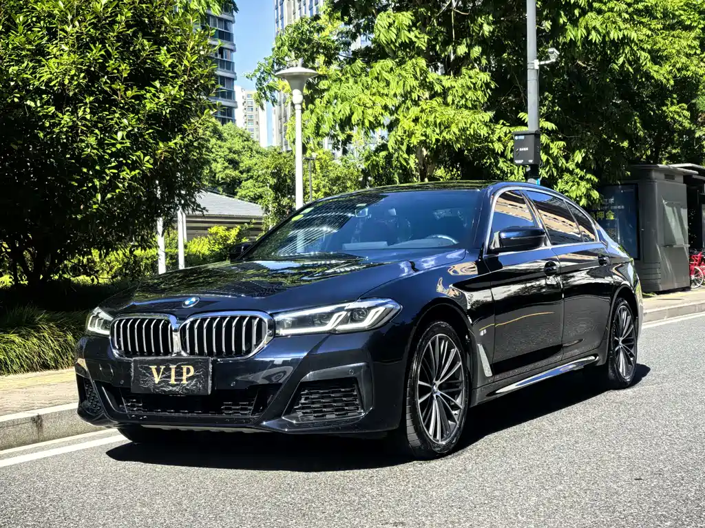 BMW 5 Series 2021