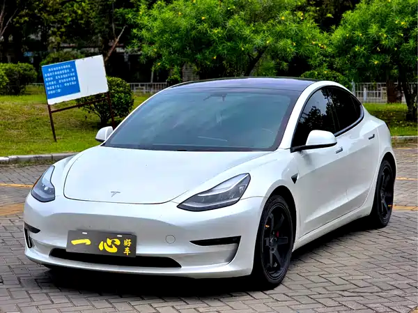 Tesla Model 3 2019