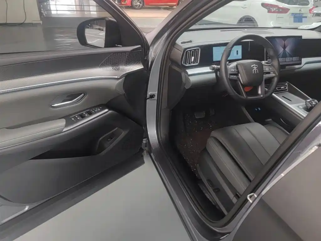BYD Pro New Energy 2025 — фото 16