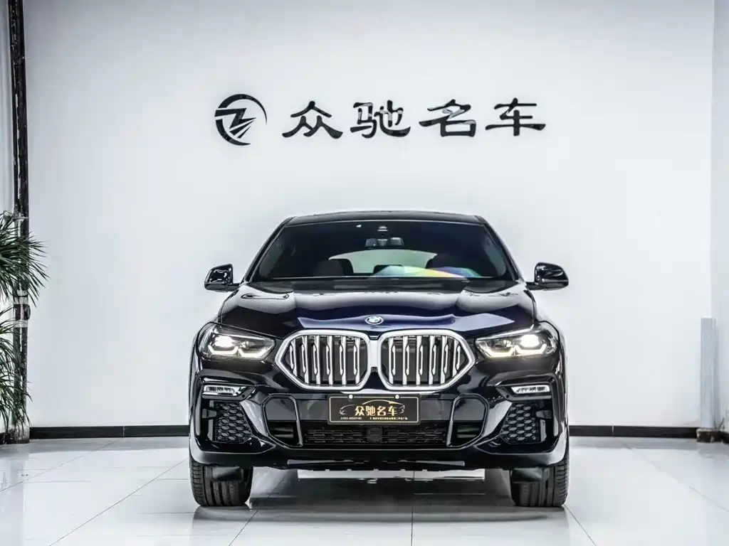 BMW X6 2021 — фото 2