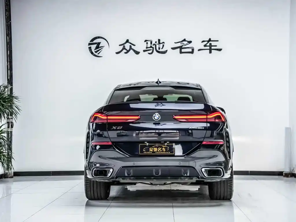BMW X6 2021 — фото 11