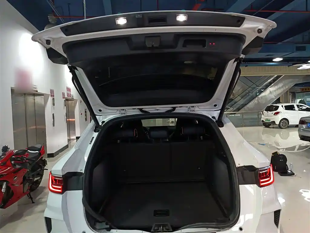 BYD PLUS New Energy 2021 — фото 16