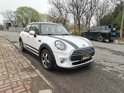 MINI MINI 2015