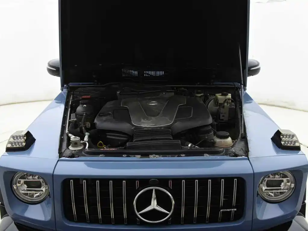 Mercedes-Benz G-Class 2017 — фото 14