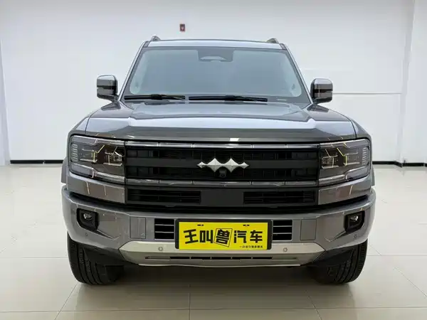 Fangchengbao Leopard 5 2025