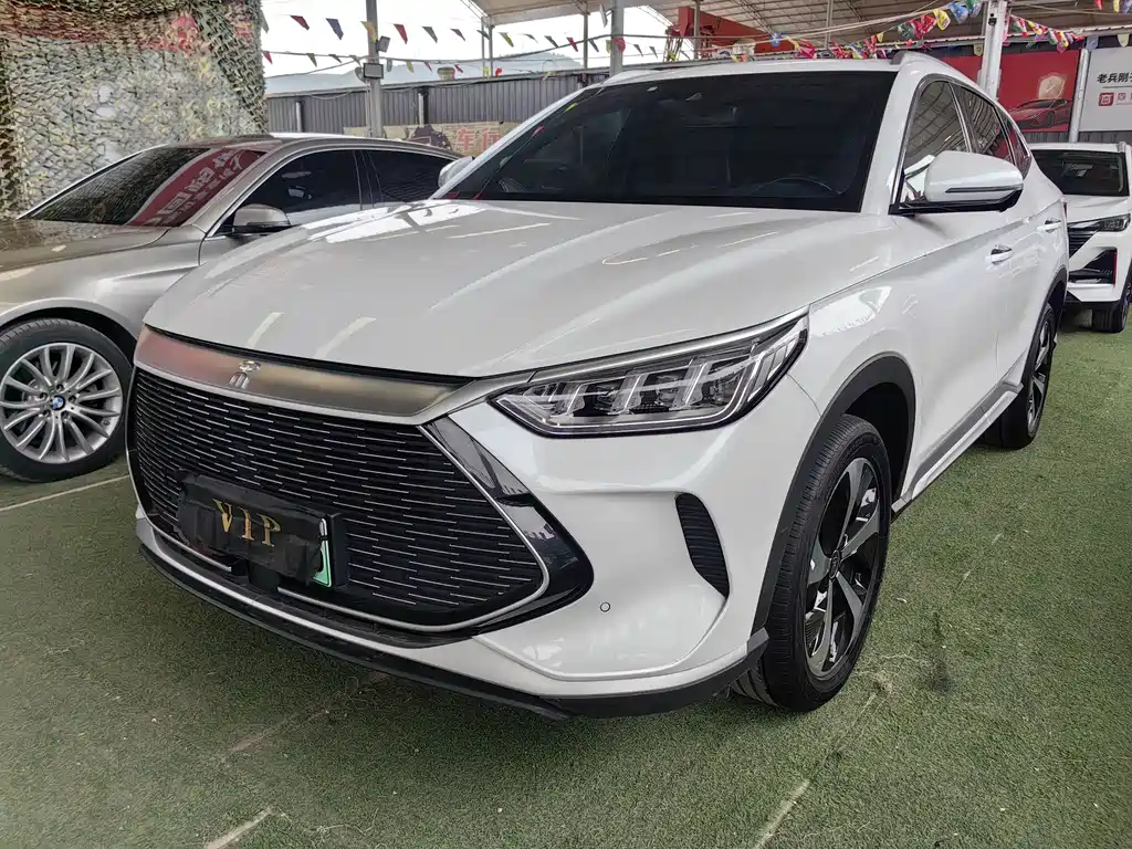 BYD PLUS New Energy 2022 — фото 1