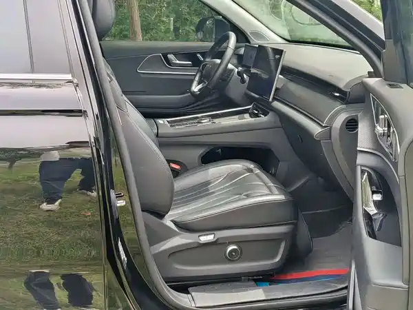 Chery Fengyun T9 2024