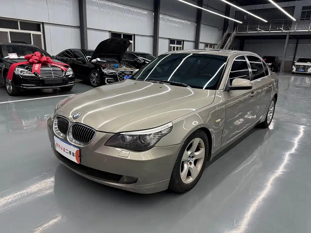 BMW 5 Series 2009