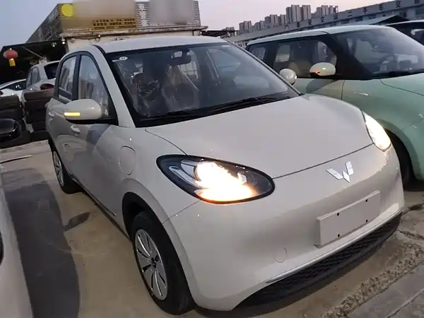 Wuling Bingo 2024