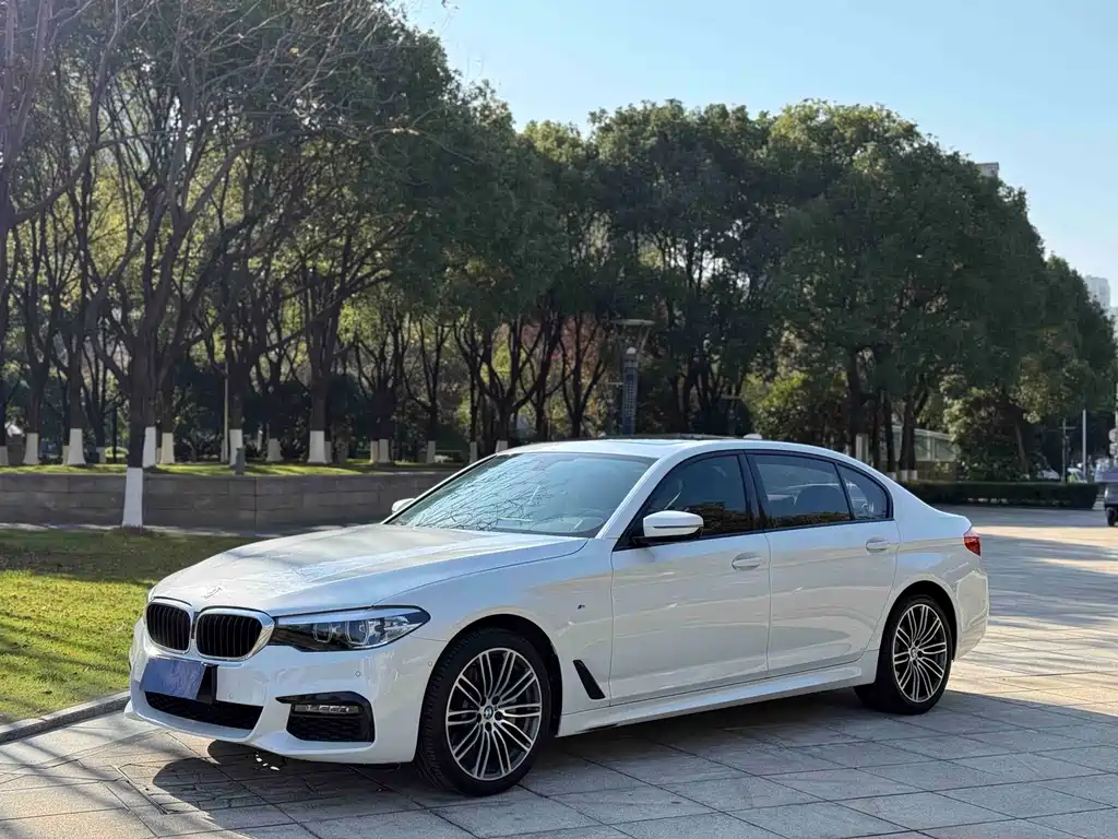 BMW 5 Series 2019 — фото 1
