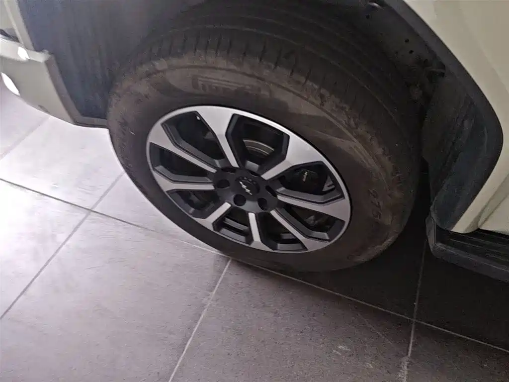 Fang Cheng Bao Leopard 5 2025 — фото 25