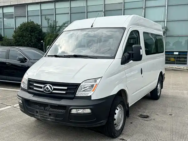 Maxus V80 2019