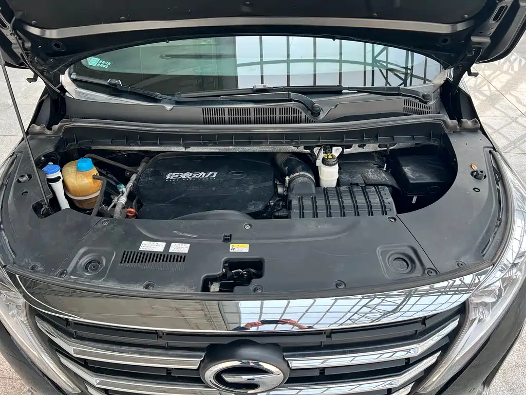 GAC Motor Trumpchi M8 2021 — фото 24