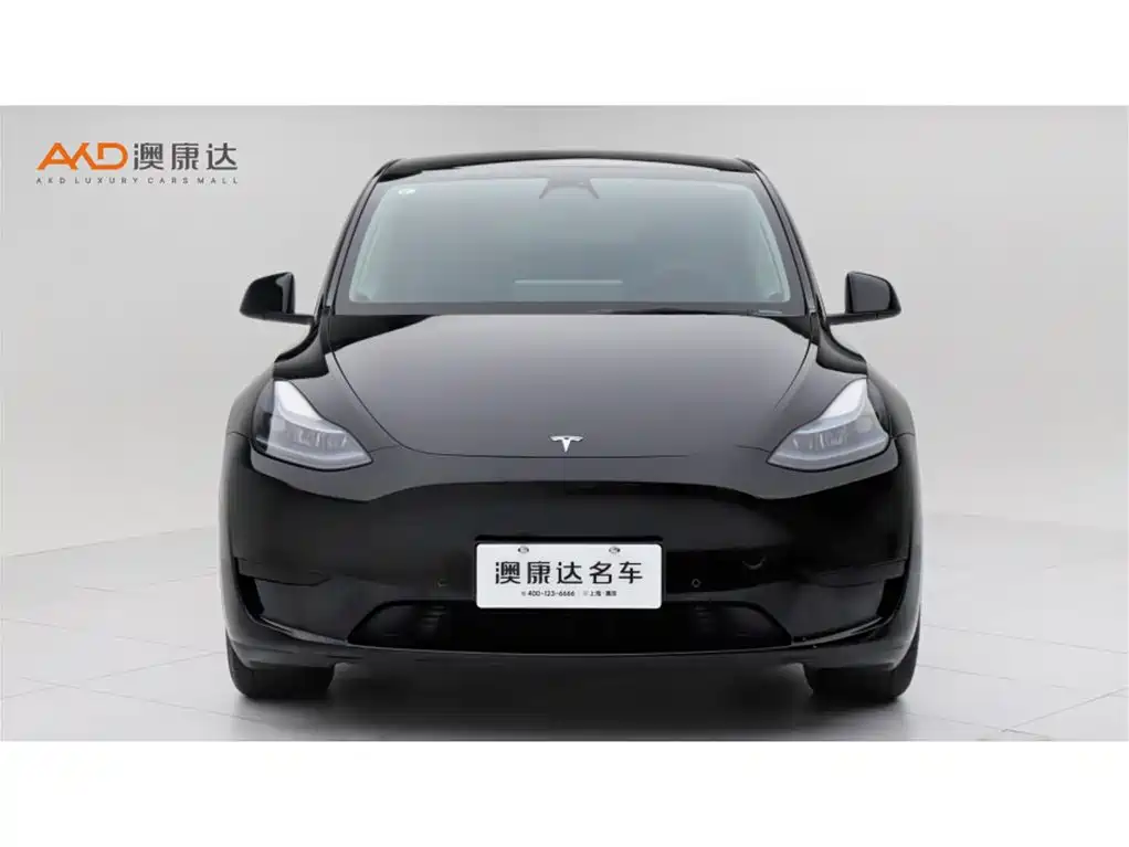 Tesla Model Y 2023 — фото 2