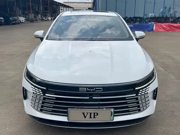 BYD Destroyer 05 2022