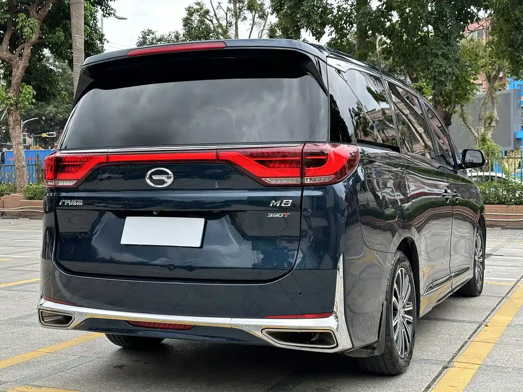 GAC Motor Trumpchi M8 2021 — фото 6