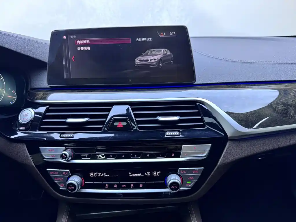 BMW 5 Series 2019 — фото 14