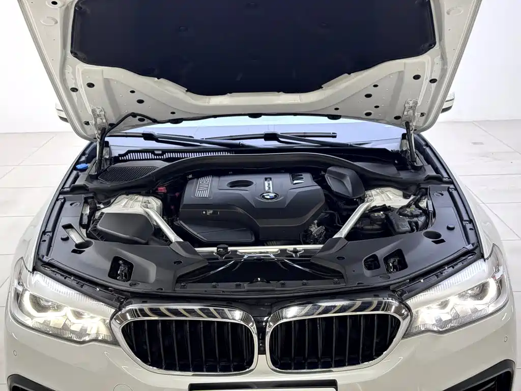 BMW 5 Series 2019 — фото 19