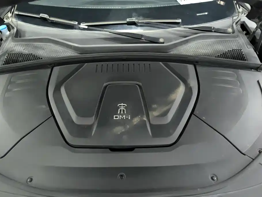 BYD Song PLUS New Energy 2023 — фото 10