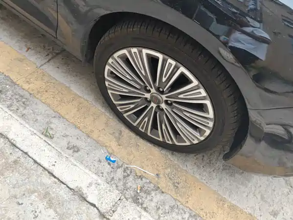 Hongqi H5 2021