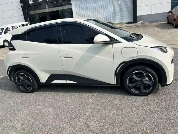 BYD Seagull 2024
