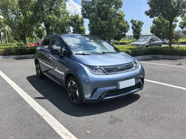 BYD Dolphin 2025