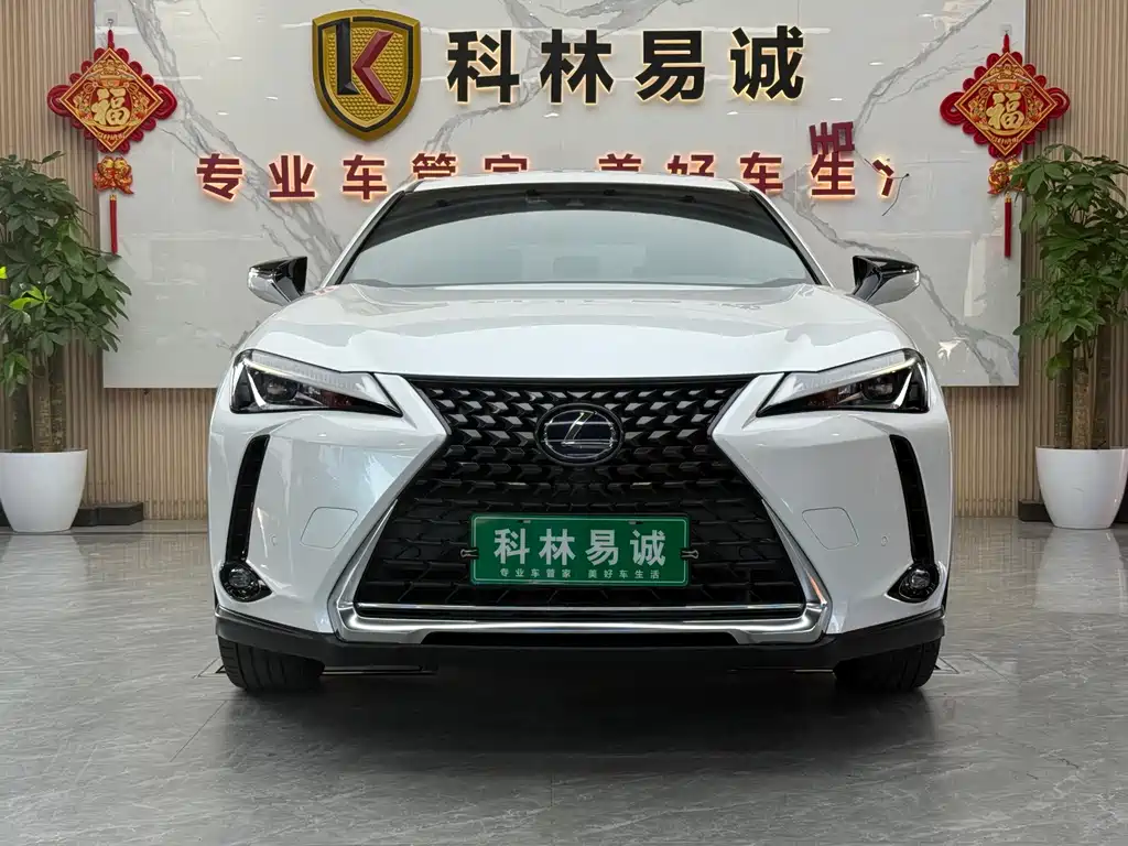 Lexus UX 2020 — фото 2