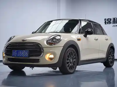MINI MINI 2015