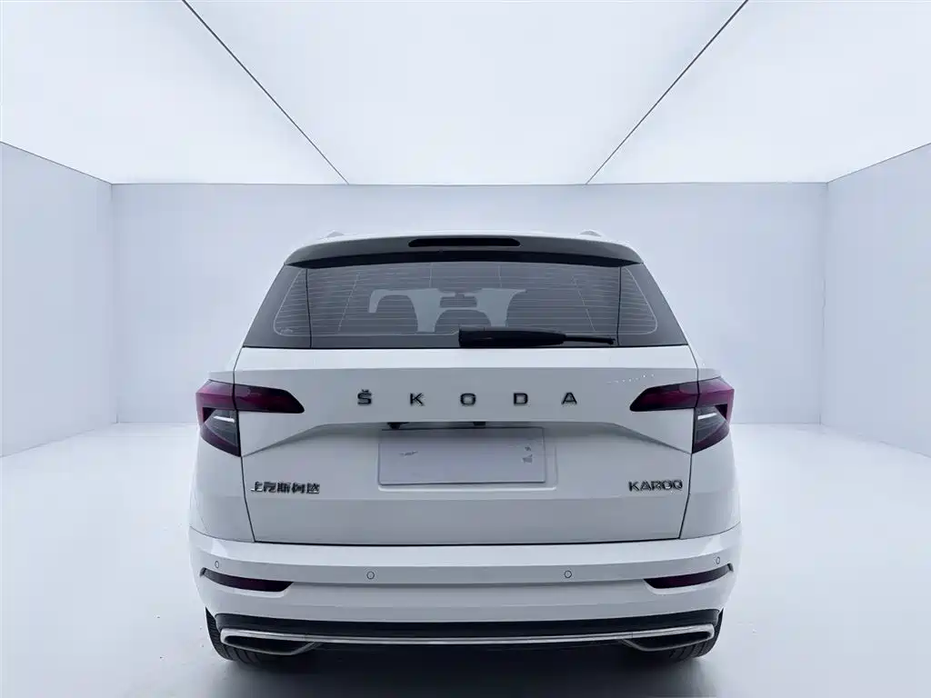 Skoda Karoq 2024 — фото 5