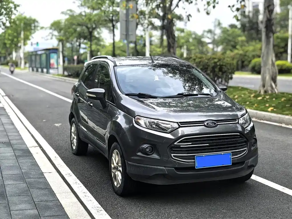 Ford EcoSport 2013 — фото 10