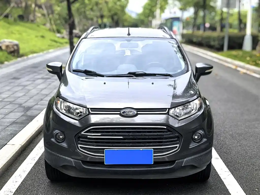 Ford EcoSport 2013 — фото 30