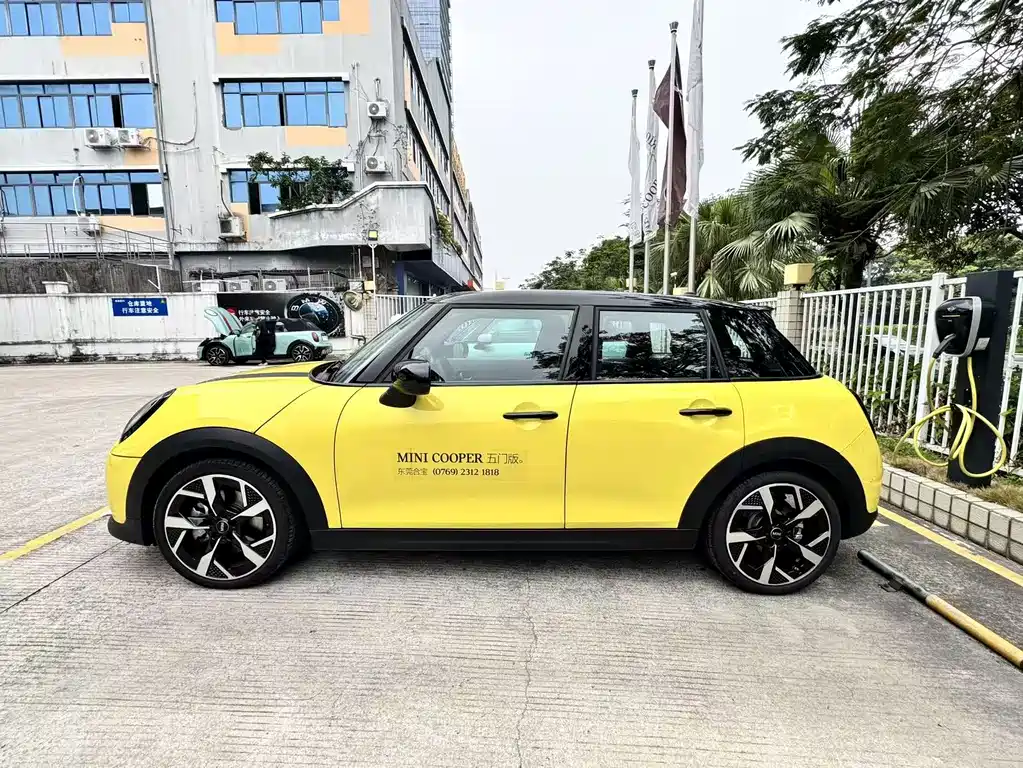 MINI MINI 2024