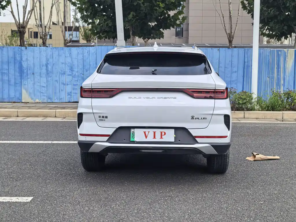 BYD Song PLUS New Energy 2023 — фото 8